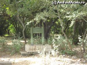 [P15] loc de baut apa in Milli Park.  » foto by adryana
 - 
<span class="allrVoted glyphicon glyphicon-heart hidden" id="av543449"></span>
<a class="m-l-10 hidden" id="sv543449" onclick="voting_Foto_DelVot(,543449,7464)" role="button">șterge vot <span class="glyphicon glyphicon-remove"></span></a>
<a id="v9543449" class=" c-red"  onclick="voting_Foto_SetVot(543449)" role="button"><span class="glyphicon glyphicon-heart-empty"></span> <b>LIKE</b> = Votează poza</a> <img class="hidden"  id="f543449W9" src="/imagini/loader.gif" border="0" /><span class="AjErrMes hidden" id="e543449ErM"></span>