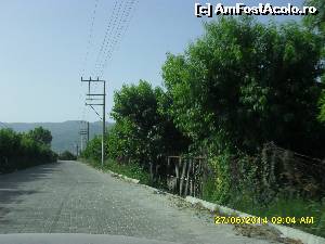 [P02] drumul spre Davutlar pe langa o livada cu piersici. Am setat GPS-UL sa nu o ia prin Söke, noi fiind pe o plaja de langa Davutlar. Am scurtat drumul mult pe aici si am facut doar 17 km pana la intrarea in Milli Park. » foto by adryana
 - 
<span class="allrVoted glyphicon glyphicon-heart hidden" id="av543428"></span>
<a class="m-l-10 hidden" id="sv543428" onclick="voting_Foto_DelVot(,543428,7464)" role="button">șterge vot <span class="glyphicon glyphicon-remove"></span></a>
<a id="v9543428" class=" c-red"  onclick="voting_Foto_SetVot(543428)" role="button"><span class="glyphicon glyphicon-heart-empty"></span> <b>LIKE</b> = Votează poza</a> <img class="hidden"  id="f543428W9" src="/imagini/loader.gif" border="0" /><span class="AjErrMes hidden" id="e543428ErM"></span>