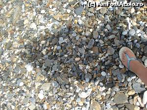 [P22]  -- <small>// FĂRĂ DESCRIERE</small> » foto by adryana
 - 
<span class="allrVoted glyphicon glyphicon-heart hidden" id="av543458"></span>
<a class="m-l-10 hidden" id="sv543458" onclick="voting_Foto_DelVot(,543458,7464)" role="button">șterge vot <span class="glyphicon glyphicon-remove"></span></a>
<a id="v9543458" class=" c-red"  onclick="voting_Foto_SetVot(543458)" role="button"><span class="glyphicon glyphicon-heart-empty"></span> <b>LIKE</b> = Votează poza</a> <img class="hidden"  id="f543458W9" src="/imagini/loader.gif" border="0" /><span class="AjErrMes hidden" id="e543458ErM"></span>