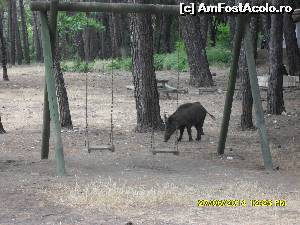 [P27]  -- <small>// FĂRĂ DESCRIERE</small> » foto by adryana
 - 
<span class="allrVoted glyphicon glyphicon-heart hidden" id="av543463"></span>
<a class="m-l-10 hidden" id="sv543463" onclick="voting_Foto_DelVot(,543463,7464)" role="button">șterge vot <span class="glyphicon glyphicon-remove"></span></a>
<a id="v9543463" class=" c-red"  onclick="voting_Foto_SetVot(543463)" role="button"><span class="glyphicon glyphicon-heart-empty"></span> <b>LIKE</b> = Votează poza</a> <img class="hidden"  id="f543463W9" src="/imagini/loader.gif" border="0" /><span class="AjErrMes hidden" id="e543463ErM"></span>