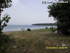 [P29]  -- <small>// FĂRĂ DESCRIERE</small> » foto by adryana
 - 
<span class="allrVoted glyphicon glyphicon-heart hidden" id="av543465"></span>
<a class="m-l-10 hidden" id="sv543465" onclick="voting_Foto_DelVot(,543465,7464)" role="button">șterge vot <span class="glyphicon glyphicon-remove"></span></a>
<a id="v9543465" class=" c-red"  onclick="voting_Foto_SetVot(543465)" role="button"><span class="glyphicon glyphicon-heart-empty"></span> <b>LIKE</b> = Votează poza</a> <img class="hidden"  id="f543465W9" src="/imagini/loader.gif" border="0" /><span class="AjErrMes hidden" id="e543465ErM"></span>