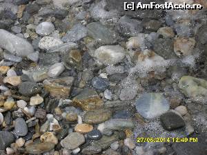 [P33]  -- <small>// FĂRĂ DESCRIERE</small> » foto by adryana
 - 
<span class="allrVoted glyphicon glyphicon-heart hidden" id="av543469"></span>
<a class="m-l-10 hidden" id="sv543469" onclick="voting_Foto_DelVot(,543469,7464)" role="button">șterge vot <span class="glyphicon glyphicon-remove"></span></a>
<a id="v9543469" class=" c-red"  onclick="voting_Foto_SetVot(543469)" role="button"><span class="glyphicon glyphicon-heart-empty"></span> <b>LIKE</b> = Votează poza</a> <img class="hidden"  id="f543469W9" src="/imagini/loader.gif" border="0" /><span class="AjErrMes hidden" id="e543469ErM"></span>