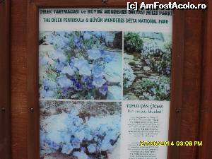 [P36] afise cu cateva plante ocrotite de lege pe care le puteti vedea in Milli Park.  » foto by adryana
 - 
<span class="allrVoted glyphicon glyphicon-heart hidden" id="av543472"></span>
<a class="m-l-10 hidden" id="sv543472" onclick="voting_Foto_DelVot(,543472,7464)" role="button">șterge vot <span class="glyphicon glyphicon-remove"></span></a>
<a id="v9543472" class=" c-red"  onclick="voting_Foto_SetVot(543472)" role="button"><span class="glyphicon glyphicon-heart-empty"></span> <b>LIKE</b> = Votează poza</a> <img class="hidden"  id="f543472W9" src="/imagini/loader.gif" border="0" /><span class="AjErrMes hidden" id="e543472ErM"></span>