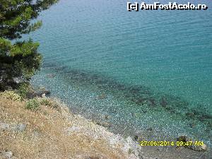 [P06]  -- <small>// FĂRĂ DESCRIERE</small> » foto by adryana
 - 
<span class="allrVoted glyphicon glyphicon-heart hidden" id="av543433"></span>
<a class="m-l-10 hidden" id="sv543433" onclick="voting_Foto_DelVot(,543433,7464)" role="button">șterge vot <span class="glyphicon glyphicon-remove"></span></a>
<a id="v9543433" class=" c-red"  onclick="voting_Foto_SetVot(543433)" role="button"><span class="glyphicon glyphicon-heart-empty"></span> <b>LIKE</b> = Votează poza</a> <img class="hidden"  id="f543433W9" src="/imagini/loader.gif" border="0" /><span class="AjErrMes hidden" id="e543433ErM"></span>