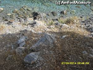 [P09]  -- <small>// FĂRĂ DESCRIERE</small> » foto by adryana
 - 
<span class="allrVoted glyphicon glyphicon-heart hidden" id="av543440"></span>
<a class="m-l-10 hidden" id="sv543440" onclick="voting_Foto_DelVot(,543440,7464)" role="button">șterge vot <span class="glyphicon glyphicon-remove"></span></a>
<a id="v9543440" class=" c-red"  onclick="voting_Foto_SetVot(543440)" role="button"><span class="glyphicon glyphicon-heart-empty"></span> <b>LIKE</b> = Votează poza</a> <img class="hidden"  id="f543440W9" src="/imagini/loader.gif" border="0" /><span class="AjErrMes hidden" id="e543440ErM"></span>