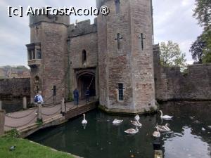 [P15] Lebede la intrarea în Palatul Episcopal. Dacă priveşti cu atenţie se observă şi clopoţelul pe care îl zornăie când le e foame. » foto by Marius 72
 - 
<span class="allrVoted glyphicon glyphicon-heart hidden" id="av1505860"></span>
<a class="m-l-10 hidden" id="sv1505860" onclick="voting_Foto_DelVot(,1505860,7515)" role="button">șterge vot <span class="glyphicon glyphicon-remove"></span></a>
<a id="v91505860" class=" c-red"  onclick="voting_Foto_SetVot(1505860)" role="button"><span class="glyphicon glyphicon-heart-empty"></span> <b>LIKE</b> = Votează poza</a> <img class="hidden"  id="f1505860W9" src="/imagini/loader.gif" border="0" /><span class="AjErrMes hidden" id="e1505860ErM"></span>