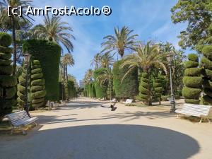 [P22] Parcul Genovez (Grădinile Botanice din Cádiz) și copacii tunși geometric.  » foto by Aurici
 - 
<span class="allrVoted glyphicon glyphicon-heart hidden" id="av1100117"></span>
<a class="m-l-10 hidden" id="sv1100117" onclick="voting_Foto_DelVot(,1100117,7560)" role="button">șterge vot <span class="glyphicon glyphicon-remove"></span></a>
<a id="v91100117" class=" c-red"  onclick="voting_Foto_SetVot(1100117)" role="button"><span class="glyphicon glyphicon-heart-empty"></span> <b>LIKE</b> = Votează poza</a> <img class="hidden"  id="f1100117W9" src="/imagini/loader.gif" border="0" /><span class="AjErrMes hidden" id="e1100117ErM"></span>