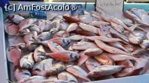 [P04] Portul vechi Marsilia, piata de peste » foto by Yolanda
 - 
<span class="allrVoted glyphicon glyphicon-heart hidden" id="av1513472"></span>
<a class="m-l-10 hidden" id="sv1513472" onclick="voting_Foto_DelVot(,1513472,7772)" role="button">șterge vot <span class="glyphicon glyphicon-remove"></span></a>
<a id="v91513472" class=" c-red"  onclick="voting_Foto_SetVot(1513472)" role="button"><span class="glyphicon glyphicon-heart-empty"></span> <b>LIKE</b> = Votează poza</a> <img class="hidden"  id="f1513472W9" src="/imagini/loader.gif" border="0" /><span class="AjErrMes hidden" id="e1513472ErM"></span>