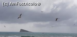 P13 [SEP-2019] Plajele Benidormului - admirând zborul pescăruşilor pe plaja Poniente