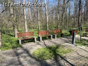 [P44] Focșani- Crângul Petrești » foto by Yersinia Pestis
 - 
<span class="allrVoted glyphicon glyphicon-heart hidden" id="av1523959"></span>
<a class="m-l-10 hidden" id="sv1523959" onclick="voting_Foto_DelVot(,1523959,7833)" role="button">șterge vot <span class="glyphicon glyphicon-remove"></span></a>
<a id="v91523959" class=" c-red"  onclick="voting_Foto_SetVot(1523959)" role="button"><span class="glyphicon glyphicon-heart-empty"></span> <b>LIKE</b> = Votează poza</a> <img class="hidden"  id="f1523959W9" src="/imagini/loader.gif" border="0" /><span class="AjErrMes hidden" id="e1523959ErM"></span>