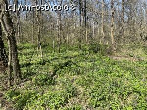 [P46] Focșani- Crângul Petrești » foto by Yersinia Pestis
 - 
<span class="allrVoted glyphicon glyphicon-heart hidden" id="av1523961"></span>
<a class="m-l-10 hidden" id="sv1523961" onclick="voting_Foto_DelVot(,1523961,7833)" role="button">șterge vot <span class="glyphicon glyphicon-remove"></span></a>
<a id="v91523961" class=" c-red"  onclick="voting_Foto_SetVot(1523961)" role="button"><span class="glyphicon glyphicon-heart-empty"></span> <b>LIKE</b> = Votează poza</a> <img class="hidden"  id="f1523961W9" src="/imagini/loader.gif" border="0" /><span class="AjErrMes hidden" id="e1523961ErM"></span>