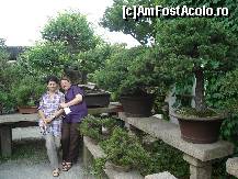 [P68] Circuit China - Tibet - Hong Kong - Macao / Gradina de Bonsai » foto by StanAnca*
 - 
<span class="allrVoted glyphicon glyphicon-heart hidden" id="av162329"></span>
<a class="m-l-10 hidden" id="sv162329" onclick="voting_Foto_DelVot(,162329,7929)" role="button">șterge vot <span class="glyphicon glyphicon-remove"></span></a>
<a id="v9162329" class=" c-red"  onclick="voting_Foto_SetVot(162329)" role="button"><span class="glyphicon glyphicon-heart-empty"></span> <b>LIKE</b> = Votează poza</a> <img class="hidden"  id="f162329W9" src="/imagini/loader.gif" border="0" /><span class="AjErrMes hidden" id="e162329ErM"></span>