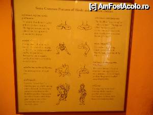 [P24] explicatii despre pozitii » foto by buterfly*
 - 
<span class="allrVoted glyphicon glyphicon-heart hidden" id="av508525"></span>
<a class="m-l-10 hidden" id="sv508525" onclick="voting_Foto_DelVot(,508525,7929)" role="button">șterge vot <span class="glyphicon glyphicon-remove"></span></a>
<a id="v9508525" class=" c-red"  onclick="voting_Foto_SetVot(508525)" role="button"><span class="glyphicon glyphicon-heart-empty"></span> <b>LIKE</b> = Votează poza</a> <img class="hidden"  id="f508525W9" src="/imagini/loader.gif" border="0" /><span class="AjErrMes hidden" id="e508525ErM"></span>