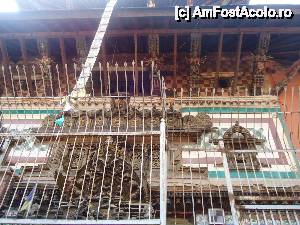 [P03] sculpturi pe fatada » foto by buterfly*
 - 
<span class="allrVoted glyphicon glyphicon-heart hidden" id="av508504"></span>
<a class="m-l-10 hidden" id="sv508504" onclick="voting_Foto_DelVot(,508504,7929)" role="button">șterge vot <span class="glyphicon glyphicon-remove"></span></a>
<a id="v9508504" class=" c-red"  onclick="voting_Foto_SetVot(508504)" role="button"><span class="glyphicon glyphicon-heart-empty"></span> <b>LIKE</b> = Votează poza</a> <img class="hidden"  id="f508504W9" src="/imagini/loader.gif" border="0" /><span class="AjErrMes hidden" id="e508504ErM"></span>