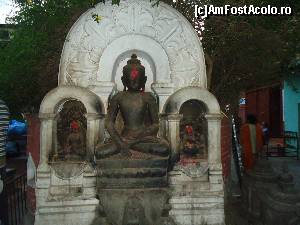 [P13]  -- <small>// FĂRĂ DESCRIERE</small> » foto by buterfly*
 - 
<span class="allrVoted glyphicon glyphicon-heart hidden" id="av509240"></span>
<a class="m-l-10 hidden" id="sv509240" onclick="voting_Foto_DelVot(,509240,7929)" role="button">șterge vot <span class="glyphicon glyphicon-remove"></span></a>
<a id="v9509240" class=" c-red"  onclick="voting_Foto_SetVot(509240)" role="button"><span class="glyphicon glyphicon-heart-empty"></span> <b>LIKE</b> = Votează poza</a> <img class="hidden"  id="f509240W9" src="/imagini/loader.gif" border="0" /><span class="AjErrMes hidden" id="e509240ErM"></span>