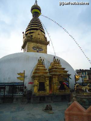 [P22]  -- <small>// FĂRĂ DESCRIERE</small> » foto by buterfly*
 - 
<span class="allrVoted glyphicon glyphicon-heart hidden" id="av509249"></span>
<a class="m-l-10 hidden" id="sv509249" onclick="voting_Foto_DelVot(,509249,7929)" role="button">șterge vot <span class="glyphicon glyphicon-remove"></span></a>
<a id="v9509249" class=" c-red"  onclick="voting_Foto_SetVot(509249)" role="button"><span class="glyphicon glyphicon-heart-empty"></span> <b>LIKE</b> = Votează poza</a> <img class="hidden"  id="f509249W9" src="/imagini/loader.gif" border="0" /><span class="AjErrMes hidden" id="e509249ErM"></span>