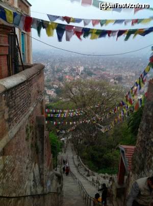 [P06] scarile catre nirvana » foto by buterfly*
 - 
<span class="allrVoted glyphicon glyphicon-heart hidden" id="av509233"></span>
<a class="m-l-10 hidden" id="sv509233" onclick="voting_Foto_DelVot(,509233,7929)" role="button">șterge vot <span class="glyphicon glyphicon-remove"></span></a>
<a id="v9509233" class=" c-red"  onclick="voting_Foto_SetVot(509233)" role="button"><span class="glyphicon glyphicon-heart-empty"></span> <b>LIKE</b> = Votează poza</a> <img class="hidden"  id="f509233W9" src="/imagini/loader.gif" border="0" /><span class="AjErrMes hidden" id="e509233ErM"></span>