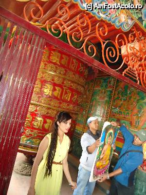 [P14] baaaaf un blitz in ochii miorlaitoarei » foto by buterfly*
 - 
<span class="allrVoted glyphicon glyphicon-heart hidden" id="av510017"></span>
<a class="m-l-10 hidden" id="sv510017" onclick="voting_Foto_DelVot(,510017,7929)" role="button">șterge vot <span class="glyphicon glyphicon-remove"></span></a>
<a id="v9510017" class=" c-red"  onclick="voting_Foto_SetVot(510017)" role="button"><span class="glyphicon glyphicon-heart-empty"></span> <b>LIKE</b> = Votează poza</a> <img class="hidden"  id="f510017W9" src="/imagini/loader.gif" border="0" /><span class="AjErrMes hidden" id="e510017ErM"></span>