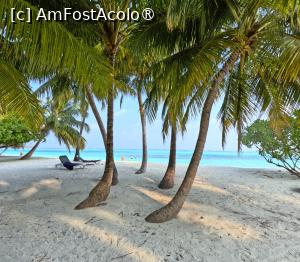 [P02] Meeru Maldives 2026 » foto by elenaadina
 - 
<span class="allrVoted glyphicon glyphicon-heart hidden" id="av1524028"></span>
<a class="m-l-10 hidden" id="sv1524028" onclick="voting_Foto_DelVot(,1524028,7942)" role="button">șterge vot <span class="glyphicon glyphicon-remove"></span></a>
<a id="v91524028" class=" c-red"  onclick="voting_Foto_SetVot(1524028)" role="button"><span class="glyphicon glyphicon-heart-empty"></span> <b>LIKE</b> = Votează poza</a> <img class="hidden"  id="f1524028W9" src="/imagini/loader.gif" border="0" /><span class="AjErrMes hidden" id="e1524028ErM"></span>