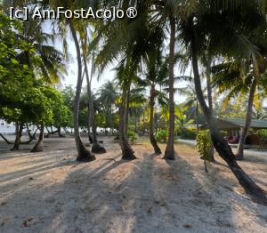 [P03] Meeru Maldives 2026 » foto by elenaadina
 - 
<span class="allrVoted glyphicon glyphicon-heart hidden" id="av1524029"></span>
<a class="m-l-10 hidden" id="sv1524029" onclick="voting_Foto_DelVot(,1524029,7942)" role="button">șterge vot <span class="glyphicon glyphicon-remove"></span></a>
<a id="v91524029" class=" c-red"  onclick="voting_Foto_SetVot(1524029)" role="button"><span class="glyphicon glyphicon-heart-empty"></span> <b>LIKE</b> = Votează poza</a> <img class="hidden"  id="f1524029W9" src="/imagini/loader.gif" border="0" /><span class="AjErrMes hidden" id="e1524029ErM"></span>