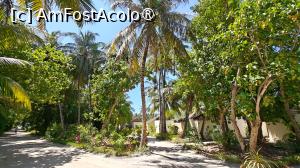 [P50]  -- <small>// FĂRĂ DESCRIERE</small> » foto by elenaadina
 - 
<span class="allrVoted glyphicon glyphicon-heart hidden" id="av1524076"></span>
<a class="m-l-10 hidden" id="sv1524076" onclick="voting_Foto_DelVot(,1524076,7942)" role="button">șterge vot <span class="glyphicon glyphicon-remove"></span></a>
<a id="v91524076" class=" c-red"  onclick="voting_Foto_SetVot(1524076)" role="button"><span class="glyphicon glyphicon-heart-empty"></span> <b>LIKE</b> = Votează poza</a> <img class="hidden"  id="f1524076W9" src="/imagini/loader.gif" border="0" /><span class="AjErrMes hidden" id="e1524076ErM"></span>