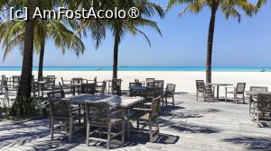 [P54]  -- <small>// FĂRĂ DESCRIERE</small> » foto by elenaadina
 - 
<span class="allrVoted glyphicon glyphicon-heart hidden" id="av1524080"></span>
<a class="m-l-10 hidden" id="sv1524080" onclick="voting_Foto_DelVot(,1524080,7942)" role="button">șterge vot <span class="glyphicon glyphicon-remove"></span></a>
<a id="v91524080" class=" c-red"  onclick="voting_Foto_SetVot(1524080)" role="button"><span class="glyphicon glyphicon-heart-empty"></span> <b>LIKE</b> = Votează poza</a> <img class="hidden"  id="f1524080W9" src="/imagini/loader.gif" border="0" /><span class="AjErrMes hidden" id="e1524080ErM"></span>