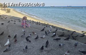 [P28] M-am oprit pentru cateva footografii in mijlocul porumbeilor, care sunt o prezenta constanta si o atractie populara pentru localnici si turisti, oferind falezei un farmec pitoresc aparte. Acestia se aduna in numar mare de-a lungul promenadei maritime si pe plaja, fiind hraniti frecvent de trecatori. » foto by geani anto
 - 
<span class="allrVoted glyphicon glyphicon-heart hidden" id="av1539131"></span>
<a class="m-l-10 hidden" id="sv1539131" onclick="voting_Foto_DelVot(,1539131,7992)" role="button">șterge vot <span class="glyphicon glyphicon-remove"></span></a>
<a id="v91539131" class=" c-red"  onclick="voting_Foto_SetVot(1539131)" role="button"><span class="glyphicon glyphicon-heart-empty"></span> <b>LIKE</b> = Votează poza</a> <img class="hidden"  id="f1539131W9" src="/imagini/loader.gif" border="0" /><span class="AjErrMes hidden" id="e1539131ErM"></span>