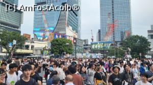 [P02] Shibuya Crossing poate fi comparata cu intersectia Times Square din New York si cu intersectia Piccadilly Circus din Londra si apare in filme cum ar fi: Lost in Translation, The Fast and the Furious: Tokyo Drift, Alice in Borderland și Resident Evil: Afterlife. » foto by geani anto
 - 
<span class="allrVoted glyphicon glyphicon-heart hidden" id="av1437828"></span>
<a class="m-l-10 hidden" id="sv1437828" onclick="voting_Foto_DelVot(,1437828,7999)" role="button">șterge vot <span class="glyphicon glyphicon-remove"></span></a>
<a id="v91437828" class=" c-red"  onclick="voting_Foto_SetVot(1437828)" role="button"><span class="glyphicon glyphicon-heart-empty"></span> <b>LIKE</b> = Votează poza</a> <img class="hidden"  id="f1437828W9" src="/imagini/loader.gif" border="0" /><span class="AjErrMes hidden" id="e1437828ErM"></span>