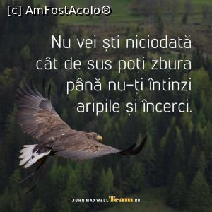 [P02] Daca pana acum ai trait intr-o colivie, crezi ca este normal sa nu poti zbura! » foto by Teo2018
 - 
<span class="allrVoted glyphicon glyphicon-heart hidden" id="av1111849"></span>
<a class="m-l-10 hidden" id="sv1111849" onclick="voting_Foto_DelVot(,1111849,8128)" role="button">șterge vot <span class="glyphicon glyphicon-remove"></span></a>
<a id="v91111849" class=" c-red"  onclick="voting_Foto_SetVot(1111849)" role="button"><span class="glyphicon glyphicon-heart-empty"></span> <b>LIKE</b> = Votează poza</a> <img class="hidden"  id="f1111849W9" src="/imagini/loader.gif" border="0" /><span class="AjErrMes hidden" id="e1111849ErM"></span>