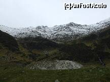 [P07] In excursie pe Transfagarasan » foto by crima
 - 
<span class="allrVoted glyphicon glyphicon-heart hidden" id="av171293"></span>
<a class="m-l-10 hidden" id="sv171293" onclick="voting_Foto_DelVot(,171293,8145)" role="button">șterge vot <span class="glyphicon glyphicon-remove"></span></a>
<a id="v9171293" class=" c-red"  onclick="voting_Foto_SetVot(171293)" role="button"><span class="glyphicon glyphicon-heart-empty"></span> <b>LIKE</b> = Votează poza</a> <img class="hidden"  id="f171293W9" src="/imagini/loader.gif" border="0" /><span class="AjErrMes hidden" id="e171293ErM"></span>