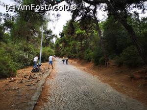 [P54] Cărarea ce urcă spre M&acirc;năstirea Sf. Gheorghe » foto by crismis
 - 
<span class="allrVoted glyphicon glyphicon-heart hidden" id="av1163177"></span>
<a class="m-l-10 hidden" id="sv1163177" onclick="voting_Foto_DelVot(,1163177,8221)" role="button">șterge vot <span class="glyphicon glyphicon-remove"></span></a>
<a id="v91163177" class=" c-red"  onclick="voting_Foto_SetVot(1163177)" role="button"><span class="glyphicon glyphicon-heart-empty"></span> <b>LIKE</b> = Votează poza</a> <img class="hidden"  id="f1163177W9" src="/imagini/loader.gif" border="0" /><span class="AjErrMes hidden" id="e1163177ErM"></span>