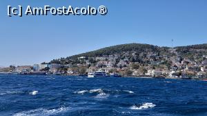 [P28] navigând pe Marea Marmara » foto by Yolanda
 - 
<span class="allrVoted glyphicon glyphicon-heart hidden" id="av1496315"></span>
<a class="m-l-10 hidden" id="sv1496315" onclick="voting_Foto_DelVot(,1496315,8221)" role="button">șterge vot <span class="glyphicon glyphicon-remove"></span></a>
<a id="v91496315" class=" c-red"  onclick="voting_Foto_SetVot(1496315)" role="button"><span class="glyphicon glyphicon-heart-empty"></span> <b>LIKE</b> = Votează poza</a> <img class="hidden"  id="f1496315W9" src="/imagini/loader.gif" border="0" /><span class="AjErrMes hidden" id="e1496315ErM"></span>