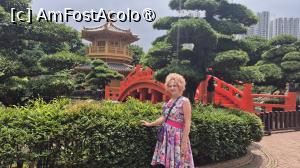 [P14] Pe insulita iazului se afla un pavilion octagonal din lemn, numit Pavilionul Perfectiunii Absolute, inconjurat de 8 pini budisti. Acesta este conectat cu malurile, prin intermediul a 2 poduri in culoarea vermilionului, Podul Zi si Podul Wu. » foto by geani anto
 - 
<span class="allrVoted glyphicon glyphicon-heart hidden" id="av1521190"></span>
<a class="m-l-10 hidden" id="sv1521190" onclick="voting_Foto_DelVot(,1521190,8285)" role="button">șterge vot <span class="glyphicon glyphicon-remove"></span></a>
<a id="v91521190" class=" c-red"  onclick="voting_Foto_SetVot(1521190)" role="button"><span class="glyphicon glyphicon-heart-empty"></span> <b>LIKE</b> = Votează poza</a> <img class="hidden"  id="f1521190W9" src="/imagini/loader.gif" border="0" /><span class="AjErrMes hidden" id="e1521190ErM"></span>