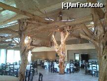 [P05] Hotel La unchiul Niky - restaurantul cu arhitectura lui neobisnuita » foto by kmy
 - 
<span class="allrVoted glyphicon glyphicon-heart hidden" id="av179070"></span>
<a class="m-l-10 hidden" id="sv179070" onclick="voting_Foto_DelVot(,179070,8322)" role="button">șterge vot <span class="glyphicon glyphicon-remove"></span></a>
<a id="v9179070" class=" c-red"  onclick="voting_Foto_SetVot(179070)" role="button"><span class="glyphicon glyphicon-heart-empty"></span> <b>LIKE</b> = Votează poza</a> <img class="hidden"  id="f179070W9" src="/imagini/loader.gif" border="0" /><span class="AjErrMes hidden" id="e179070ErM"></span>