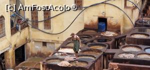 [P77] Tannerie Chouara » foto by adso
 - 
<span class="allrVoted glyphicon glyphicon-heart hidden" id="av1547283"></span>
<a class="m-l-10 hidden" id="sv1547283" onclick="voting_Foto_DelVot(,1547283,8506)" role="button">șterge vot <span class="glyphicon glyphicon-remove"></span></a>
<a id="v91547283" class=" c-red"  onclick="voting_Foto_SetVot(1547283)" role="button"><span class="glyphicon glyphicon-heart-empty"></span> <b>LIKE</b> = Votează poza</a> <img class="hidden"  id="f1547283W9" src="/imagini/loader.gif" border="0" /><span class="AjErrMes hidden" id="e1547283ErM"></span>