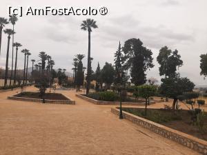 [P95] Jardin Bab Al Amer » foto by adso
 - 
<span class="allrVoted glyphicon glyphicon-heart hidden" id="av1547301"></span>
<a class="m-l-10 hidden" id="sv1547301" onclick="voting_Foto_DelVot(,1547301,8506)" role="button">șterge vot <span class="glyphicon glyphicon-remove"></span></a>
<a id="v91547301" class=" c-red"  onclick="voting_Foto_SetVot(1547301)" role="button"><span class="glyphicon glyphicon-heart-empty"></span> <b>LIKE</b> = Votează poza</a> <img class="hidden"  id="f1547301W9" src="/imagini/loader.gif" border="0" /><span class="AjErrMes hidden" id="e1547301ErM"></span>