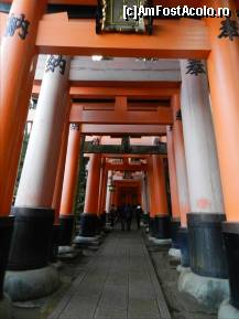 [P145] Templul Fushimi-Inari » foto by TraianS
 - 
<span class="allrVoted glyphicon glyphicon-heart hidden" id="av411026"></span>
<a class="m-l-10 hidden" id="sv411026" onclick="voting_Foto_DelVot(,411026,8571)" role="button">șterge vot <span class="glyphicon glyphicon-remove"></span></a>
<a id="v9411026" class=" c-red"  onclick="voting_Foto_SetVot(411026)" role="button"><span class="glyphicon glyphicon-heart-empty"></span> <b>LIKE</b> = Votează poza</a> <img class="hidden"  id="f411026W9" src="/imagini/loader.gif" border="0" /><span class="AjErrMes hidden" id="e411026ErM"></span>