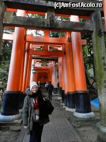 [P146] Templul Fushimi-Inari » foto by TraianS
 - 
<span class="allrVoted glyphicon glyphicon-heart hidden" id="av411027"></span>
<a class="m-l-10 hidden" id="sv411027" onclick="voting_Foto_DelVot(,411027,8571)" role="button">șterge vot <span class="glyphicon glyphicon-remove"></span></a>
<a id="v9411027" class=" c-red"  onclick="voting_Foto_SetVot(411027)" role="button"><span class="glyphicon glyphicon-heart-empty"></span> <b>LIKE</b> = Votează poza</a> <img class="hidden"  id="f411027W9" src="/imagini/loader.gif" border="0" /><span class="AjErrMes hidden" id="e411027ErM"></span>