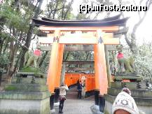 [P147] Templul Fushimi-Inari » foto by TraianS
 - 
<span class="allrVoted glyphicon glyphicon-heart hidden" id="av411028"></span>
<a class="m-l-10 hidden" id="sv411028" onclick="voting_Foto_DelVot(,411028,8571)" role="button">șterge vot <span class="glyphicon glyphicon-remove"></span></a>
<a id="v9411028" class=" c-red"  onclick="voting_Foto_SetVot(411028)" role="button"><span class="glyphicon glyphicon-heart-empty"></span> <b>LIKE</b> = Votează poza</a> <img class="hidden"  id="f411028W9" src="/imagini/loader.gif" border="0" /><span class="AjErrMes hidden" id="e411028ErM"></span>