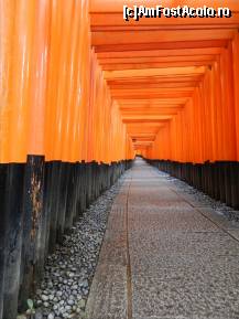 [P148] Templul Fushimi-Inari » foto by TraianS
 - 
<span class="allrVoted glyphicon glyphicon-heart hidden" id="av411029"></span>
<a class="m-l-10 hidden" id="sv411029" onclick="voting_Foto_DelVot(,411029,8571)" role="button">șterge vot <span class="glyphicon glyphicon-remove"></span></a>
<a id="v9411029" class=" c-red"  onclick="voting_Foto_SetVot(411029)" role="button"><span class="glyphicon glyphicon-heart-empty"></span> <b>LIKE</b> = Votează poza</a> <img class="hidden"  id="f411029W9" src="/imagini/loader.gif" border="0" /><span class="AjErrMes hidden" id="e411029ErM"></span>