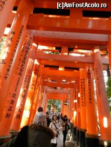 [P149] Templul Fushimi-Inari. Kyoto - game over.  » foto by TraianS
 - 
<span class="allrVoted glyphicon glyphicon-heart hidden" id="av411031"></span>
<a class="m-l-10 hidden" id="sv411031" onclick="voting_Foto_DelVot(,411031,8571)" role="button">șterge vot <span class="glyphicon glyphicon-remove"></span></a>
<a id="v9411031" class=" c-red"  onclick="voting_Foto_SetVot(411031)" role="button"><span class="glyphicon glyphicon-heart-empty"></span> <b>LIKE</b> = Votează poza</a> <img class="hidden"  id="f411031W9" src="/imagini/loader.gif" border="0" /><span class="AjErrMes hidden" id="e411031ErM"></span>