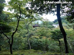 [P13] Kyoto, Templul Ginkakuji înconjurat de verde » foto by mprofeanu
 - 
<span class="allrVoted glyphicon glyphicon-heart hidden" id="av705362"></span>
<a class="m-l-10 hidden" id="sv705362" onclick="voting_Foto_DelVot(,705362,8571)" role="button">șterge vot <span class="glyphicon glyphicon-remove"></span></a>
<a id="v9705362" class=" c-red"  onclick="voting_Foto_SetVot(705362)" role="button"><span class="glyphicon glyphicon-heart-empty"></span> <b>LIKE</b> = Votează poza</a> <img class="hidden"  id="f705362W9" src="/imagini/loader.gif" border="0" /><span class="AjErrMes hidden" id="e705362ErM"></span>