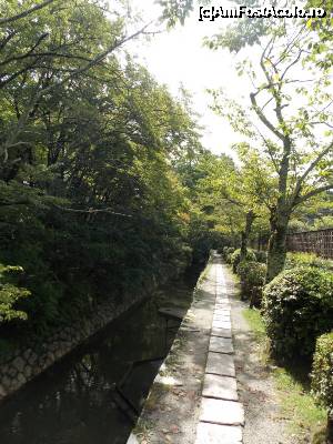 [P16] Kyoto, Calea Filozofală mărginită de cireși » foto by mprofeanu
 - 
<span class="allrVoted glyphicon glyphicon-heart hidden" id="av705365"></span>
<a class="m-l-10 hidden" id="sv705365" onclick="voting_Foto_DelVot(,705365,8571)" role="button">șterge vot <span class="glyphicon glyphicon-remove"></span></a>
<a id="v9705365" class=" c-red"  onclick="voting_Foto_SetVot(705365)" role="button"><span class="glyphicon glyphicon-heart-empty"></span> <b>LIKE</b> = Votează poza</a> <img class="hidden"  id="f705365W9" src="/imagini/loader.gif" border="0" /><span class="AjErrMes hidden" id="e705365ErM"></span>