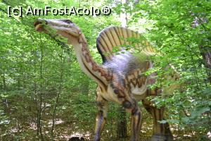 [P02] Dino Parc Râșnov » foto by AZE
 - 
<span class="allrVoted glyphicon glyphicon-heart hidden" id="av1102526"></span>
<a class="m-l-10 hidden" id="sv1102526" onclick="voting_Foto_DelVot(,1102526,8637)" role="button">șterge vot <span class="glyphicon glyphicon-remove"></span></a>
<a id="v91102526" class=" c-red"  onclick="voting_Foto_SetVot(1102526)" role="button"><span class="glyphicon glyphicon-heart-empty"></span> <b>LIKE</b> = Votează poza</a> <img class="hidden"  id="f1102526W9" src="/imagini/loader.gif" border="0" /><span class="AjErrMes hidden" id="e1102526ErM"></span>