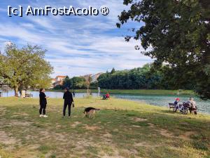 [P28] Pe țărmul Dravei » foto by crismis
 - 
<span class="allrVoted glyphicon glyphicon-heart hidden" id="av1509394"></span>
<a class="m-l-10 hidden" id="sv1509394" onclick="voting_Foto_DelVot(,1509394,8677)" role="button">șterge vot <span class="glyphicon glyphicon-remove"></span></a>
<a id="v91509394" class=" c-red"  onclick="voting_Foto_SetVot(1509394)" role="button"><span class="glyphicon glyphicon-heart-empty"></span> <b>LIKE</b> = Votează poza</a> <img class="hidden"  id="f1509394W9" src="/imagini/loader.gif" border="0" /><span class="AjErrMes hidden" id="e1509394ErM"></span>