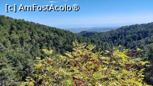 [P31] Munții Troodos » foto by Carmen Ion
 - 
<span class="allrVoted glyphicon glyphicon-heart hidden" id="av1474580"></span>
<a class="m-l-10 hidden" id="sv1474580" onclick="voting_Foto_DelVot(,1474580,8732)" role="button">șterge vot <span class="glyphicon glyphicon-remove"></span></a>
<a id="v91474580" class=" c-red"  onclick="voting_Foto_SetVot(1474580)" role="button"><span class="glyphicon glyphicon-heart-empty"></span> <b>LIKE</b> = Votează poza</a> <img class="hidden"  id="f1474580W9" src="/imagini/loader.gif" border="0" /><span class="AjErrMes hidden" id="e1474580ErM"></span>