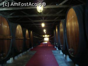 [P10] Adega da Mata - veche pivniță istorică de vinuri unde se maturizează Periquita... aici doarm 800 000 litri de vin roșu pe baza strugurelui Castelao... butoaie între 12 000 - 20 000 litri... întuneric beznă.  » foto by mireille
 - 
<span class="allrVoted glyphicon glyphicon-heart hidden" id="av925777"></span>
<a class="m-l-10 hidden" id="sv925777" onclick="voting_Foto_DelVot(,925777,8769)" role="button">șterge vot <span class="glyphicon glyphicon-remove"></span></a>
<a id="v9925777" class=" c-red"  onclick="voting_Foto_SetVot(925777)" role="button"><span class="glyphicon glyphicon-heart-empty"></span> <b>LIKE</b> = Votează poza</a> <img class="hidden"  id="f925777W9" src="/imagini/loader.gif" border="0" /><span class="AjErrMes hidden" id="e925777ErM"></span>