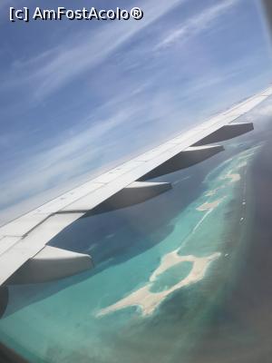 P02 [AUG-2017] Maldive un vis frumos