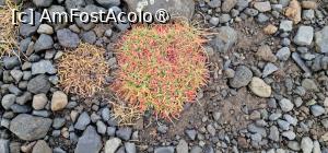 [P62] Peninsula Dyrhólaey » foto by adso
 - 
<span class="allrVoted glyphicon glyphicon-heart hidden" id="av1510242"></span>
<a class="m-l-10 hidden" id="sv1510242" onclick="voting_Foto_DelVot(,1510242,8786)" role="button">șterge vot <span class="glyphicon glyphicon-remove"></span></a>
<a id="v91510242" class=" c-red"  onclick="voting_Foto_SetVot(1510242)" role="button"><span class="glyphicon glyphicon-heart-empty"></span> <b>LIKE</b> = Votează poza</a> <img class="hidden"  id="f1510242W9" src="/imagini/loader.gif" border="0" /><span class="AjErrMes hidden" id="e1510242ErM"></span>