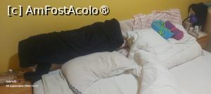 [P22] Deoarece peretele este prost izolat, iar la sfarsitul lunii septembrie au fost temperaturi nocturne aproape de zero, am fost nevoiti sa ne protejam pentru ca nu au vrut sa dea drumul la caldura. Am folosit AC .. zgomot dar am avut 20 grade in camera. » foto by gado
 - 
<span class="allrVoted glyphicon glyphicon-heart hidden" id="av1525966"></span>
<a class="m-l-10 hidden" id="sv1525966" onclick="voting_Foto_DelVot(,1525966,8815)" role="button">șterge vot <span class="glyphicon glyphicon-remove"></span></a>
<a id="v91525966" class=" c-red"  onclick="voting_Foto_SetVot(1525966)" role="button"><span class="glyphicon glyphicon-heart-empty"></span> <b>LIKE</b> = Votează poza</a> <img class="hidden"  id="f1525966W9" src="/imagini/loader.gif" border="0" /><span class="AjErrMes hidden" id="e1525966ErM"></span>